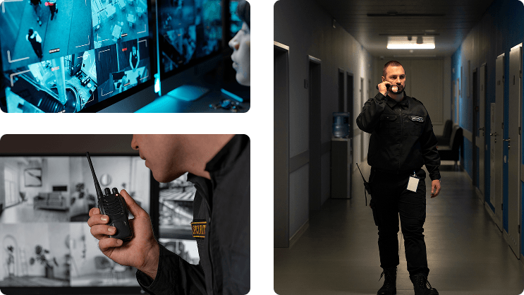 Collage Seguridad privada y vigilancia.png