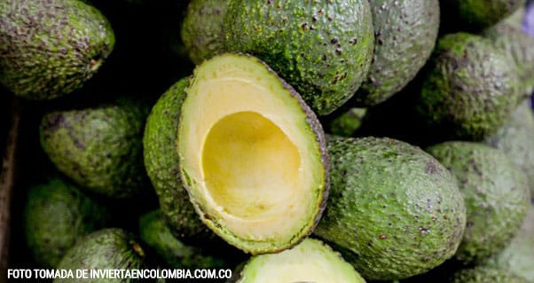 La empresa que sembrará 60 mil árboles de aguacate hass en Colombia en el 2019, Invest Pacific