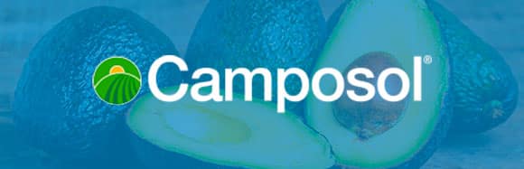 Camposol