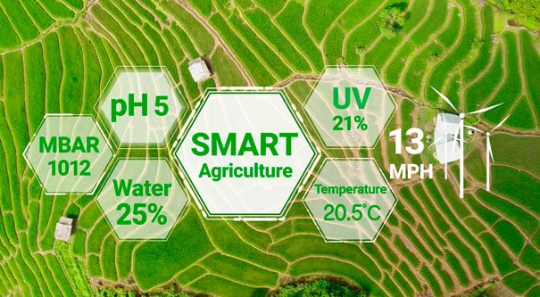 israel valle del cauca, Invest Pacific