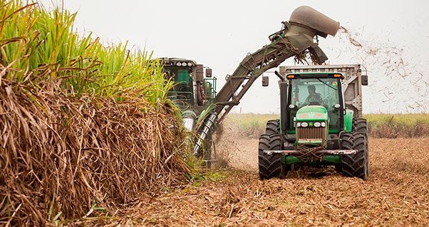 Valle del Cauca and its agricultural potential is in the sight of foreign investors, Invest Pacific