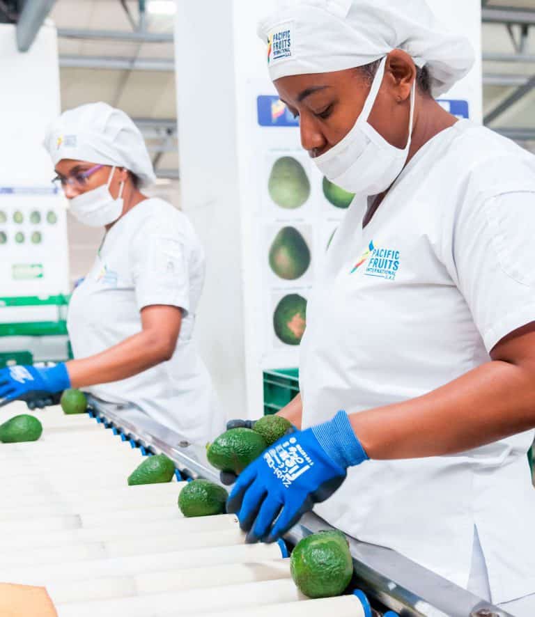 Agroindustria, Invest Pacific