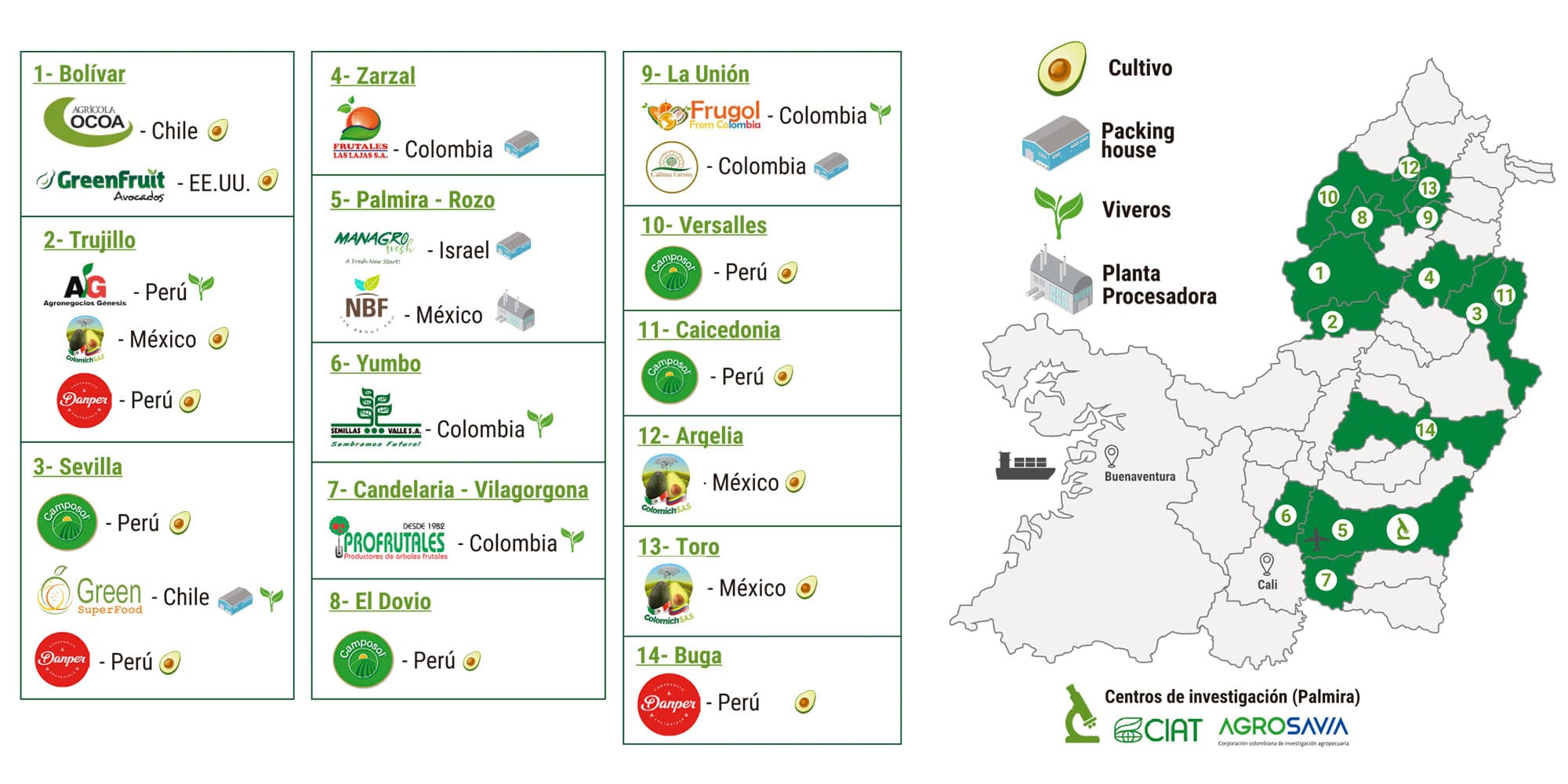 aguacate hass, Invest Pacific