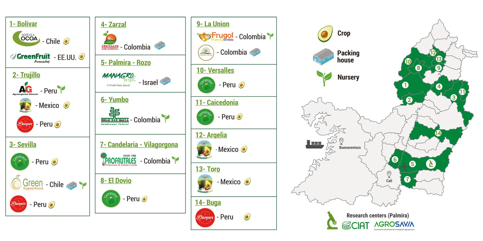 hass avocado, Invest Pacific