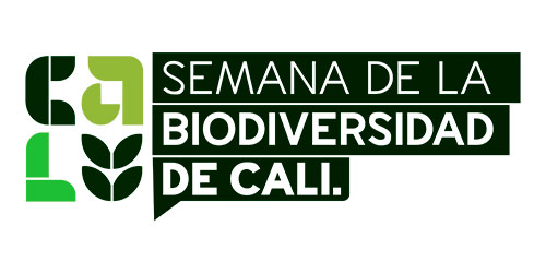 Lanzamiento oficial Cali Home4Tech, Invest Pacific