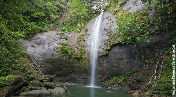 valle del cauca cop16, Invest Pacific