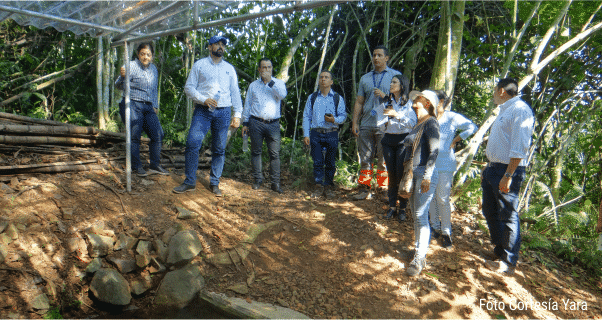 Yara promueve reforestación y adecuación ambiental en Yotoco, Invest Pacific